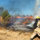 Les incendies de forêt au Chili font au moins 24 morts et des milliers d'hectares de forêt détruits