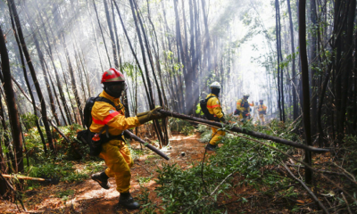 Ils maintiennent une situation d'urgence en raison des incendies de forêt au Chili