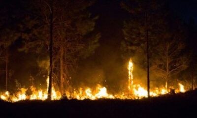 Cuban President highlights firefighters' work in firefighting efforts