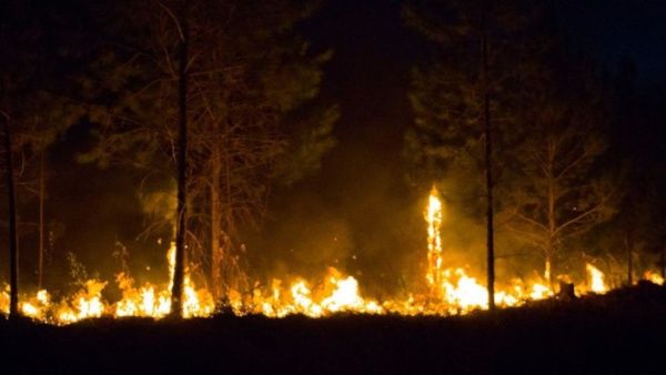 Cuban President highlights firefighters' work in firefighting efforts