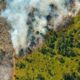 Incendio en Cuba daña más de 1 300 hectáreas de bosques