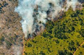 Incendio en Cuba daña más de 1 300 hectáreas de bosques