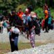 Le Panama rejette les accusations de violations présumées contre les migrants