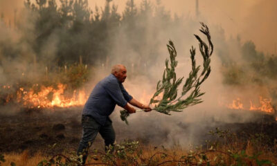 Chile maintains emergency in regions affected by forest fires