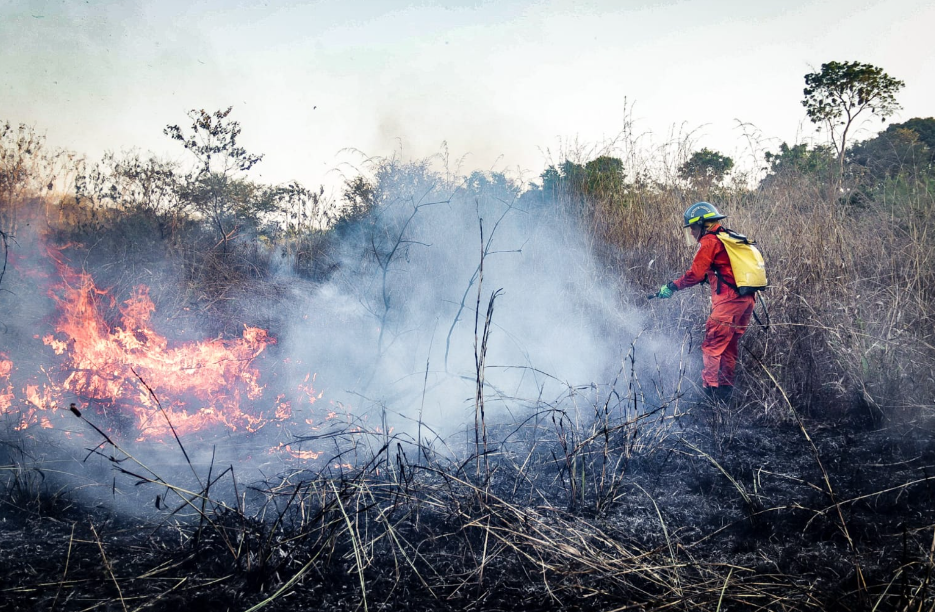 Protección Civil mantiene alerta verde a escala nacional por el incremento de incendios forestales