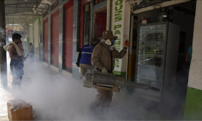 Increase in cases of dengue, zika and chikungunya reported in Brazil