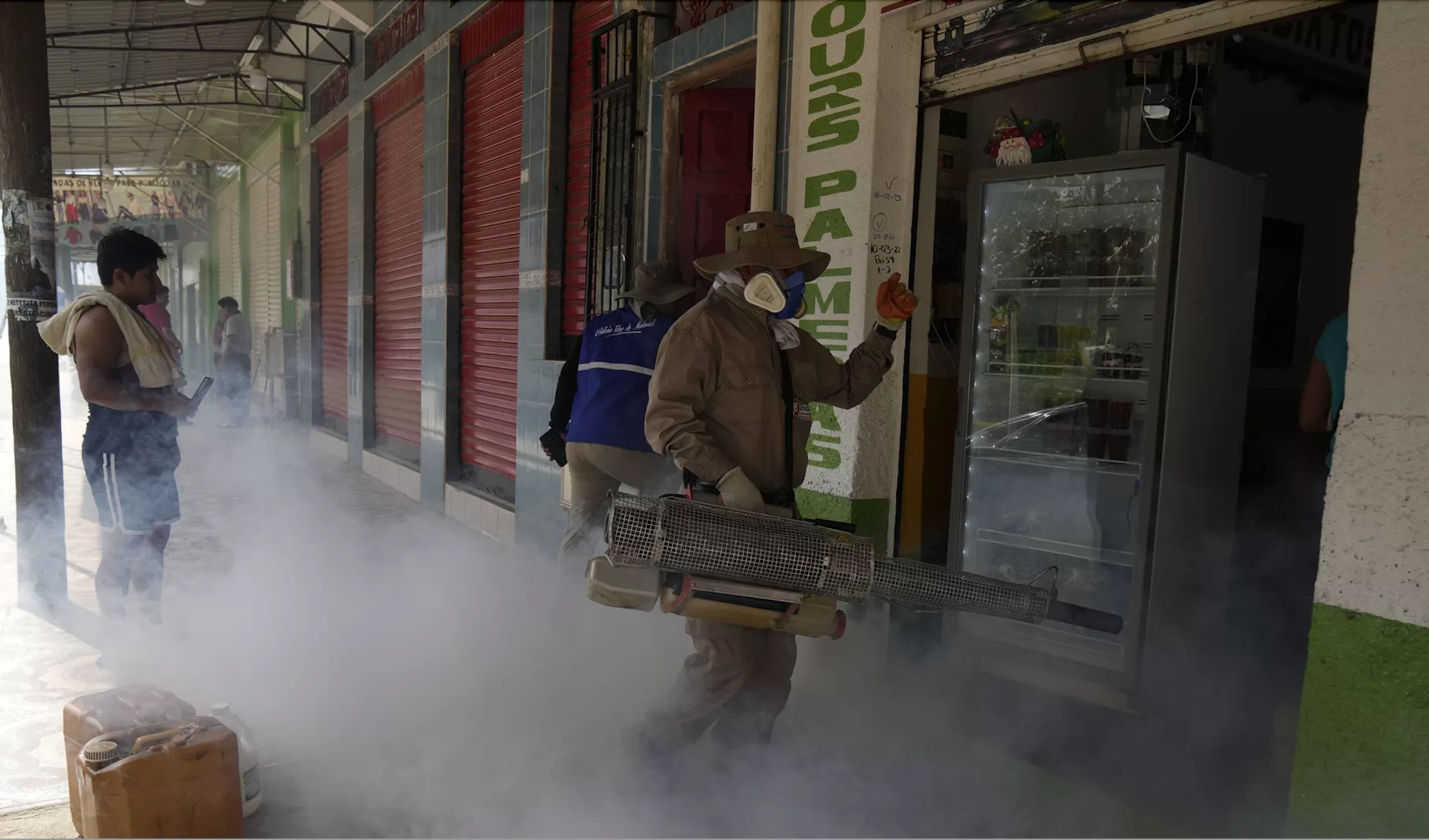 Increase in cases of dengue, zika and chikungunya reported in Brazil