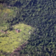 5 indigènes auraient été tués et leurs maisons incendiées au Nicaragua