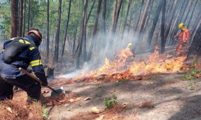 Fires leave 33,000 hectares affected in Honduras