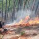 Fires leave 33,000 hectares affected in Honduras