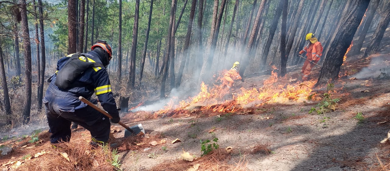 Fires leave 33,000 hectares affected in Honduras