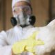 Le Brésil déclare l'état d'urgence sanitaire en raison de cas de grippe aviaire