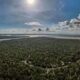 La déforestation en Amazonie brésilienne a diminué de 67,9 % en avril