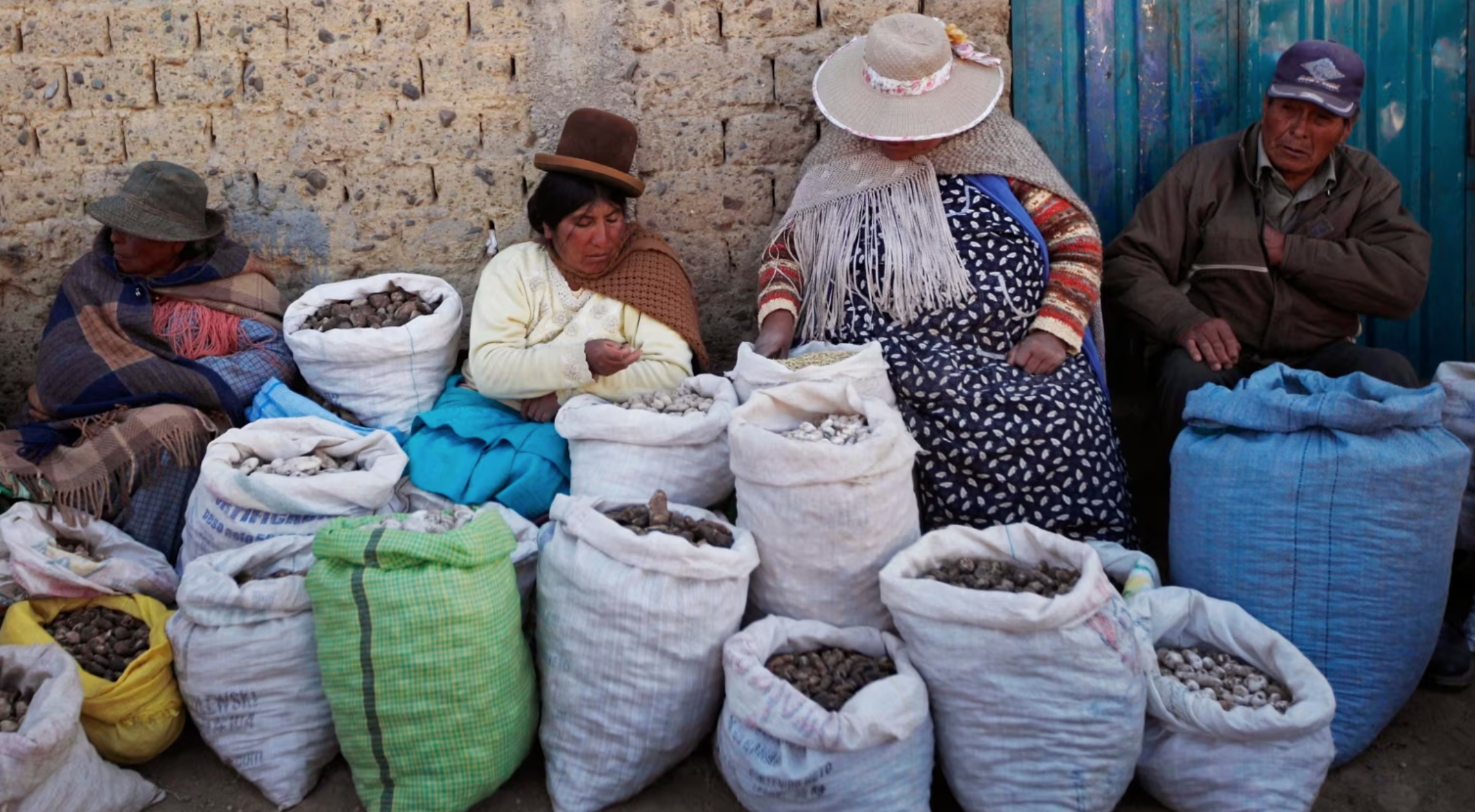 Déclaration de catastrophe en Bolivie alors que le gel détruit les récoltes