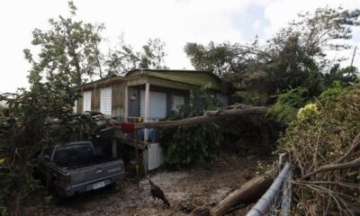 Les maires dénoncent le manque de préparation aux ouragans à Porto Rico