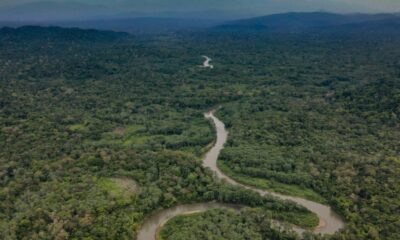 Panamá: encuentran a 10 migrantes ahogados en la selva del Darién