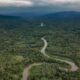 Panamá: encuentran a 10 migrantes ahogados en la selva del Darién