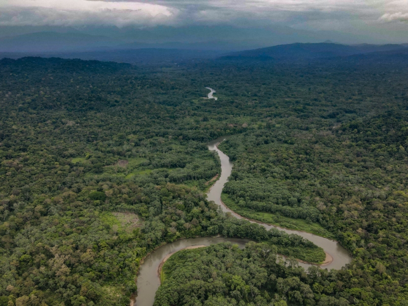 Panamá: encuentran a 10 migrantes ahogados en la selva del Darién