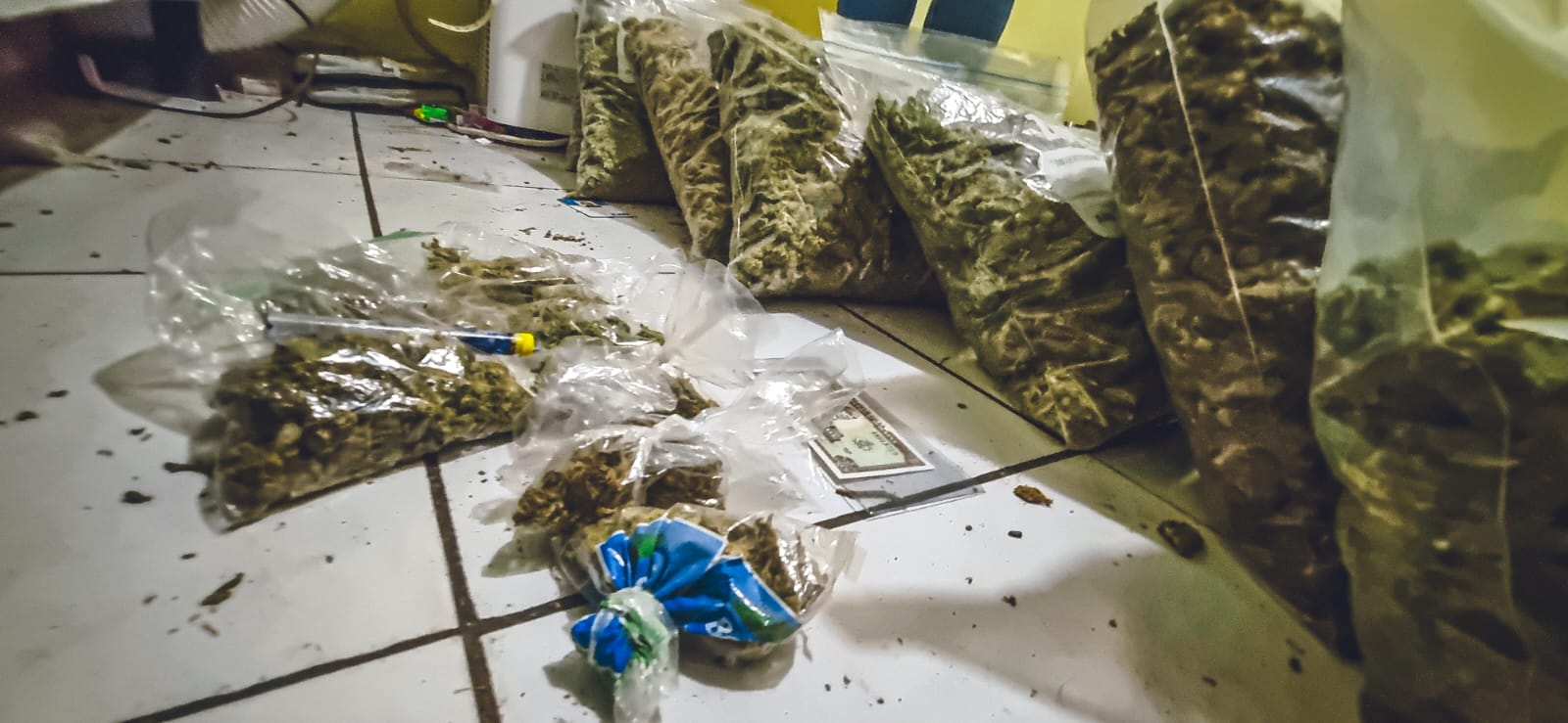 PNC y FGR encuentran cargamento de drogas en una vivienda de San Salvador