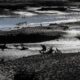 Uruguayan government rejects warnings about water crisis