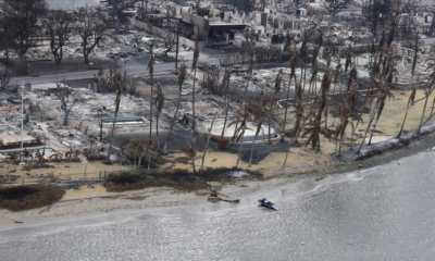 Des incendies dévastateurs font rage à Hawaï, entraînant destructions et évacuations massives