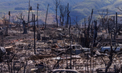 Hawaii: Maui Fire Death Toll Reaches 106