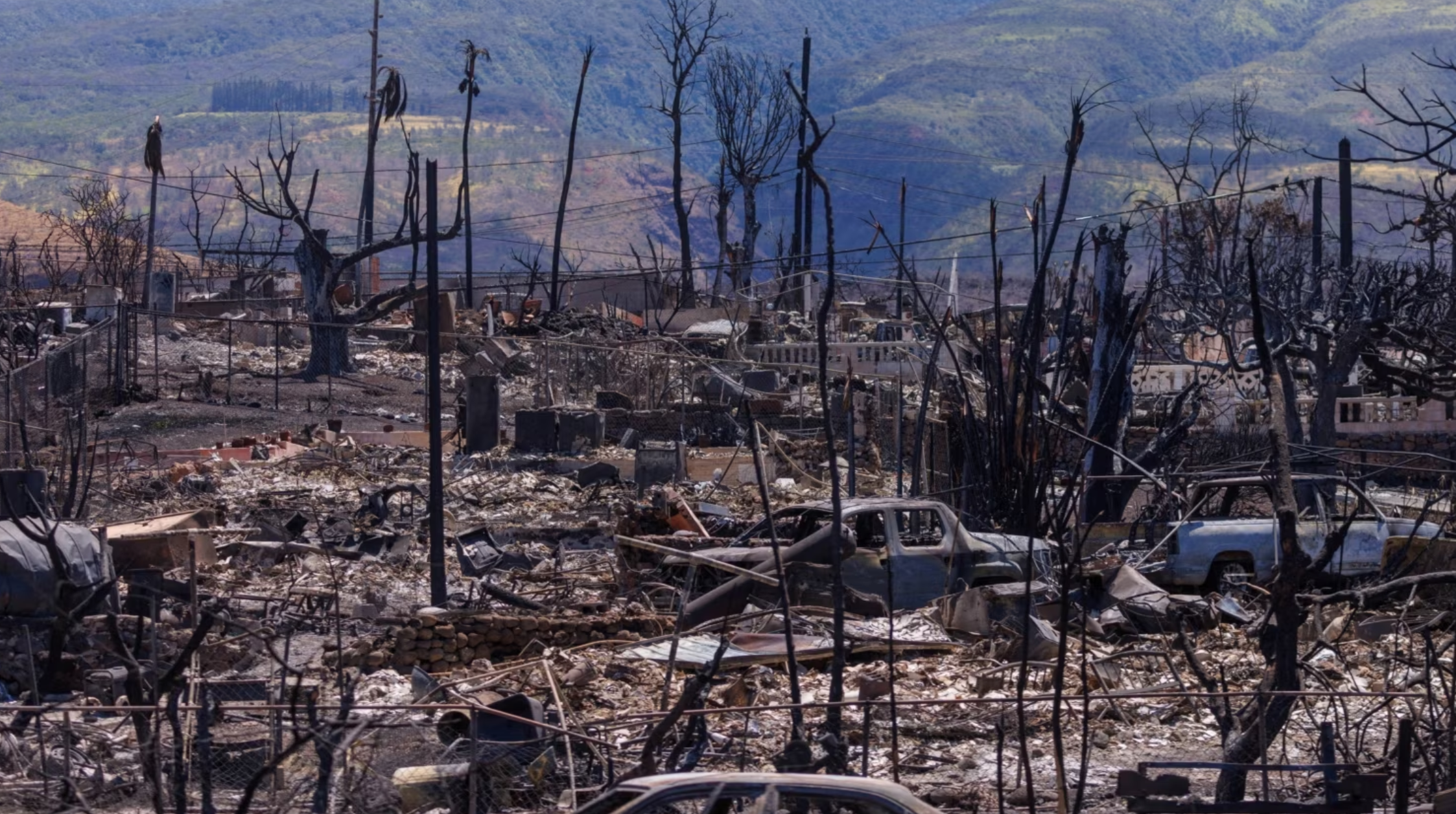 Hawaii: Maui Fire Death Toll Reaches 106