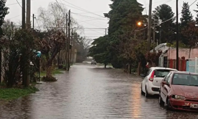 More than 1,000 families affected by floods in La Plata, Argentina