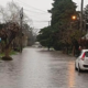 More than 1,000 families affected by floods in La Plata, Argentina