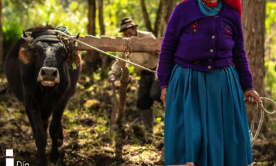 Día Internacional de los Pueblos Indígenas: guardianes de la biodiversidad y la cultura celebrados a escala mundial