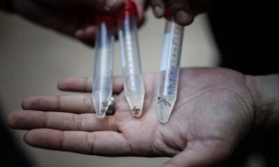 L'incidence de la dengue atteint 130 000 cas en Argentine