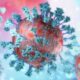 What is known about the new coronavirus variants under surveillance in the Americas?