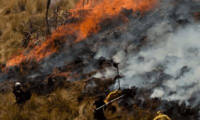 Forest fires leave one dead in Apurimar, Peru