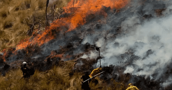 Forest fires leave one dead in Apurimar, Peru