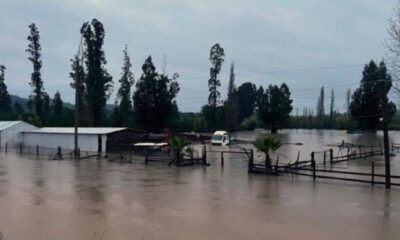 Trois morts dans des pluies torrentielles au Chili