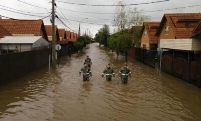 Les pluies entraînent des pertes de 600 millions de dollars pour l'agriculture au Chili