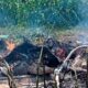 L'accident d'un hélicoptère fait trois morts au Mexique