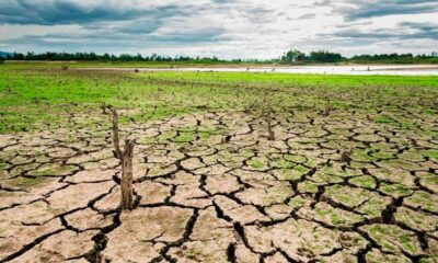 Expertos advierten que Centroamérica debe tomar medidas drásticas frente a la crisis climática