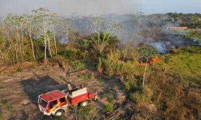 Brésil: l'Amazonie en état d'alerte en raison d'une vague d'incendies criminels