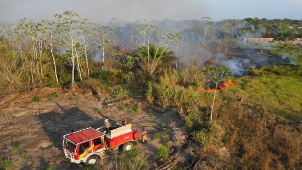 Brésil: l'Amazonie en état d'alerte en raison d'une vague d'incendies criminels