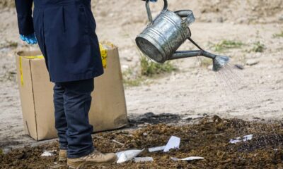 Les autorités salvadoriennes détruisent des drogues d'une valeur de plus de 65 000 dollars