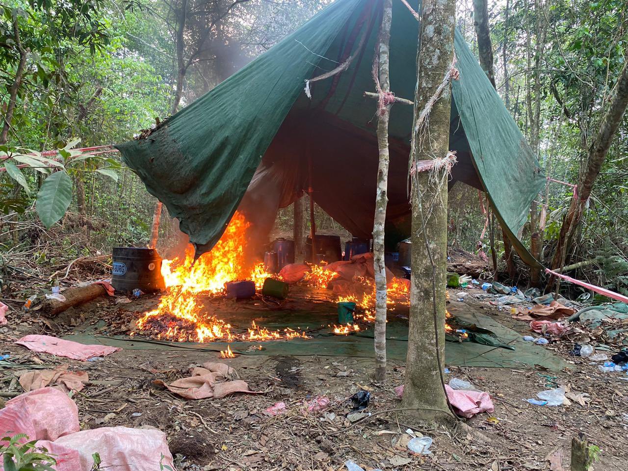 22 cocaine manufacturing laboratories destroyed in Bolivia