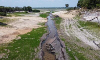 Drought affects 62 municipalities in Brazilian Amazon