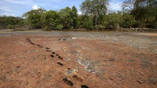 Le Costa Rica décrète l'alerte jaune pour sécheresse de l'eau