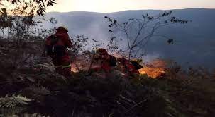 Actions to fight forest fires continue in Bolivia