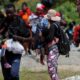 EE.UU. desplegará agentes de inmigración en Panamá para abordar crisis humanitaria en la selva del tapón del Darién