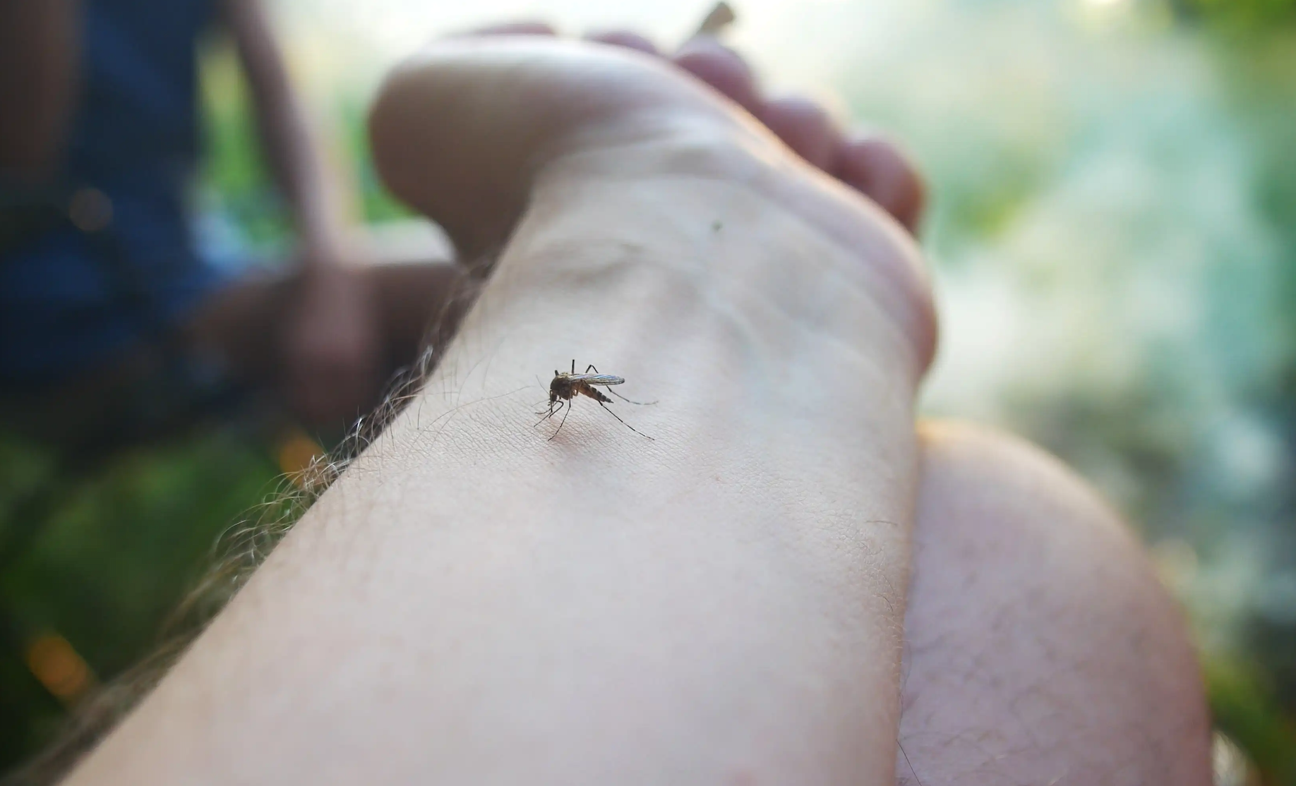La dengue fait des ravages au Guatemala en 2023