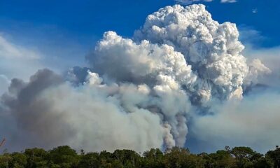 Fires endanger flora and fauna in Brazilian Pantanal