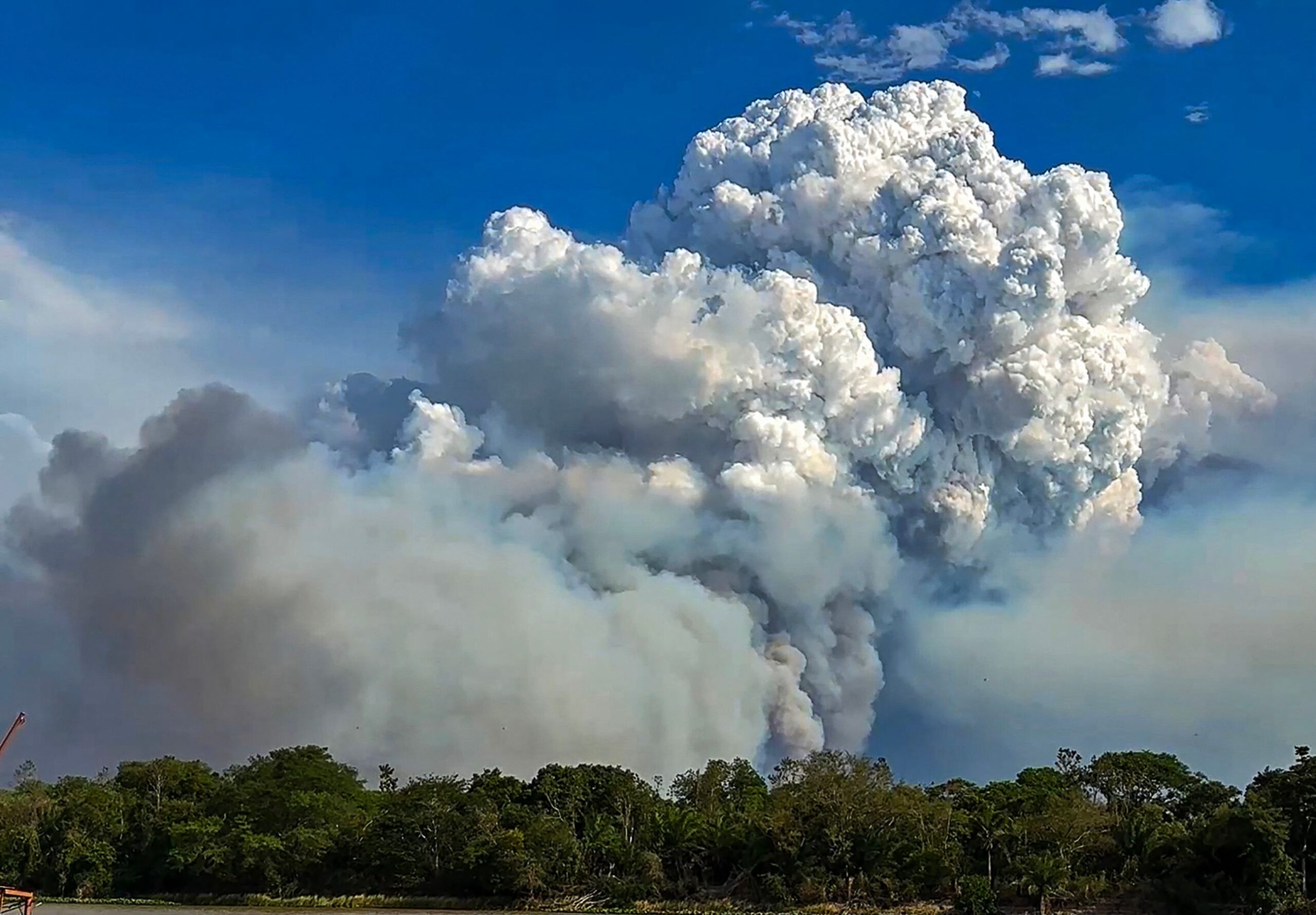 Fires endanger flora and fauna in Brazilian Pantanal