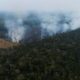 Deforestation in the Brazilian Amazon drops to 22.3%.